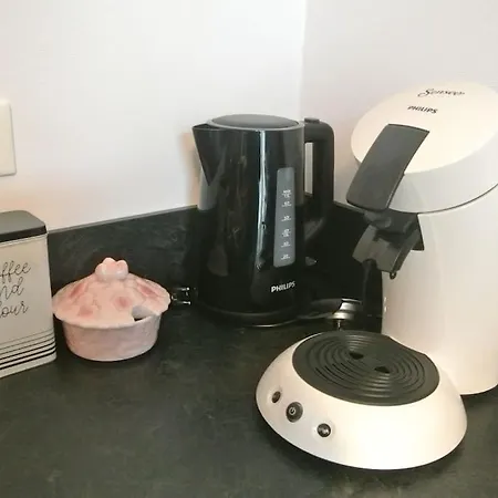 Des Hirondelles Vic-sur-Cère