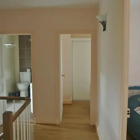 Des Hirondelles Vic-sur-Cère