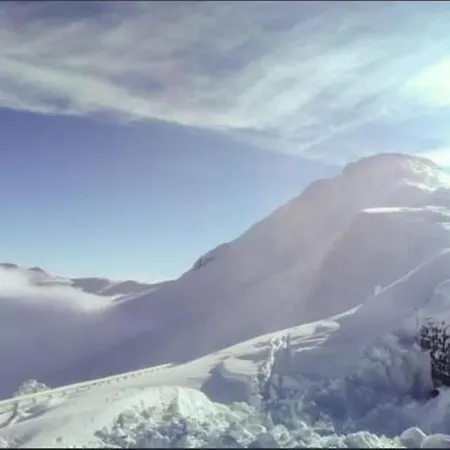 Des Hirondelles Vic-sur-Cère