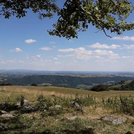 Des Hirondelles * Vic-sur-Cère